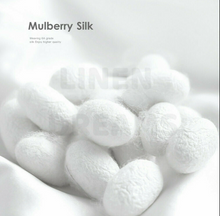 Load image into Gallery viewer, 1 x 100% Mulberry Silk Pillowcase