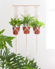 Load image into Gallery viewer, Macrame Plant Triple Hanging