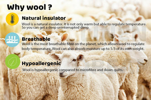 100% Merino Down Wool Quilt Duvet Doona Blanket Summer/Winter