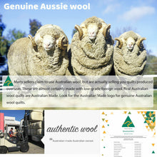 Load image into Gallery viewer, 100% Merino Down Wool Quilt Duvet Doona Blanket Summer/Winter
