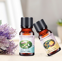 Load image into Gallery viewer, Kit of Oils for Diffuser Humidifier - 6  or 12 Fragrances or Carry Box