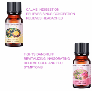 Kit of Oils for Diffuser Humidifier - 6  or 12 Fragrances or Carry Box