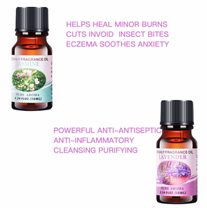 Kit of Oils for Diffuser Humidifier - 6  or 12 Fragrances or Carry Box