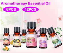 Load image into Gallery viewer, Kit of Oils for Diffuser Humidifier - 6  or 12 Fragrances or Carry Box
