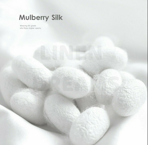 1 x 100% Mulberry Silk Pillowcase