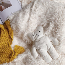 Load image into Gallery viewer, Fluffy Faux Mink &amp; Velvet Fleece Quilt Cover Set - Soft White