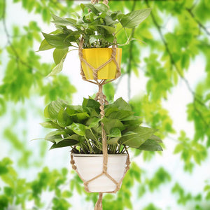Double Macrame Plant Hanger