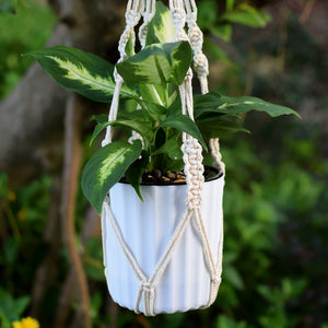 3 Pieces Macrame Rural Plant Hanger