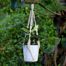 Load image into Gallery viewer, 3 Pieces Macrame Rural Plant Hanger