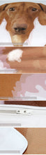 Load image into Gallery viewer, Dachshund Sausage Bedding Set